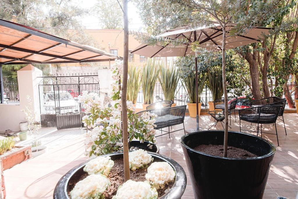 Hotel Piso Local House 4*