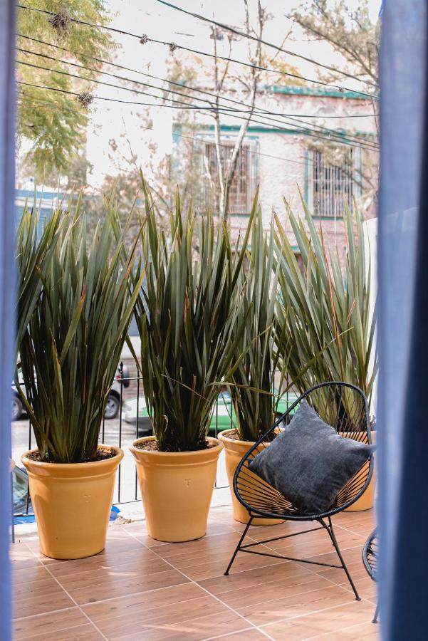 Piso Local House Hotel
